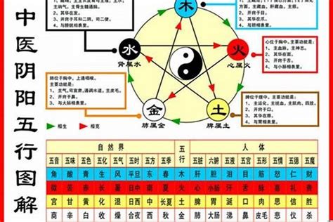 鼠五行屬什麼|属鼠五行属什么命 属鼠人的五行缺什么